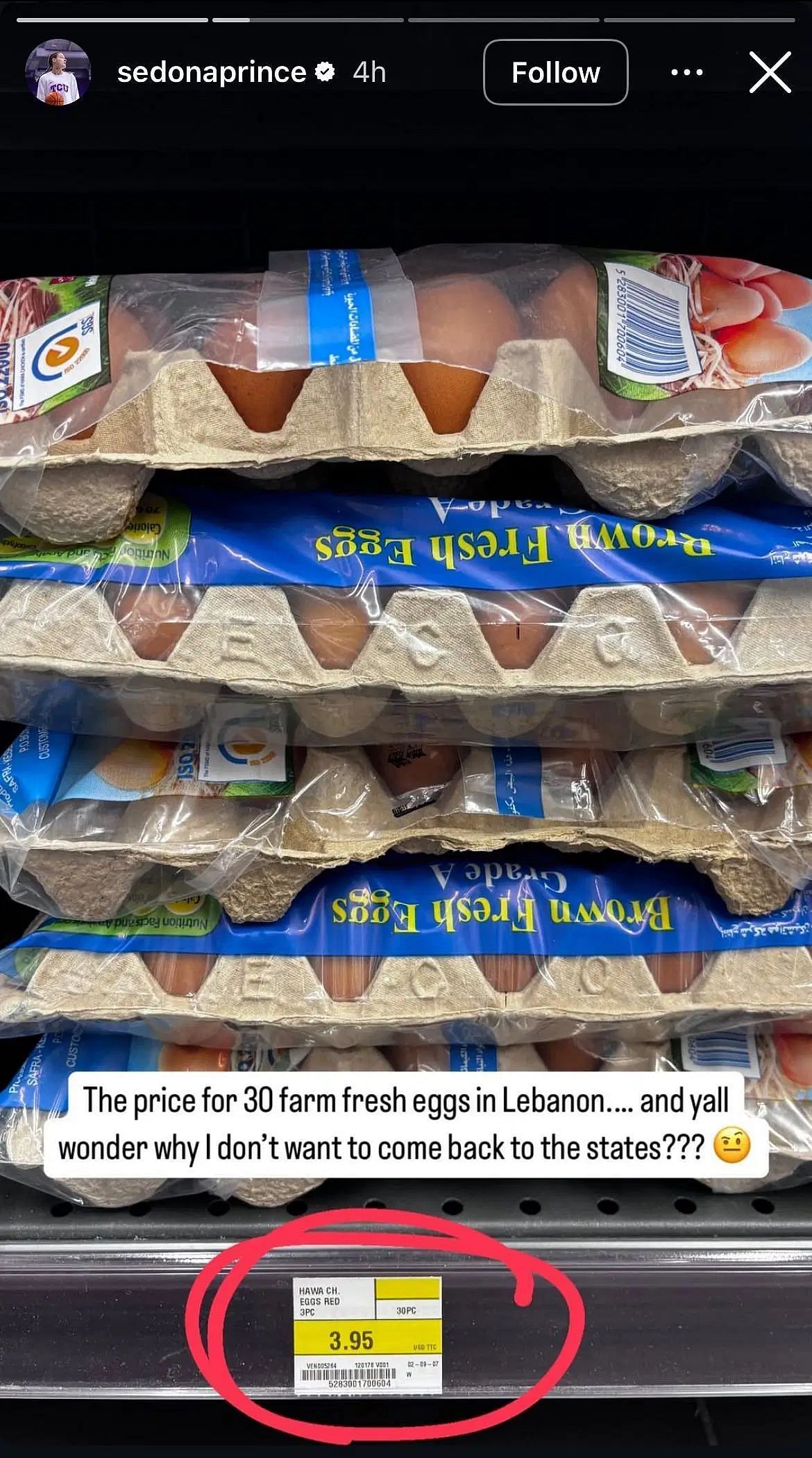 Sedona Prince highlights the price of eggs in Lebanon